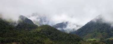 sabah, borneo, Malezya, sisli hills