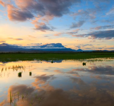 sabah, borneo, Malezya, renkli gündoğumu yansıma