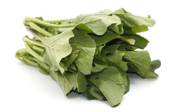 Mustard greens vegetable over white background — Stock Photo, Image