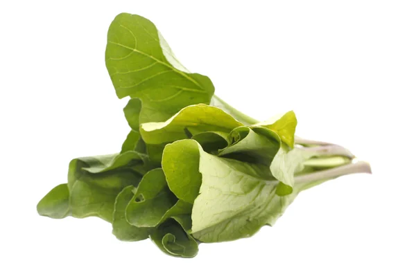 Verduras de mostarda vegetal isolado em branco — Fotografia de Stock