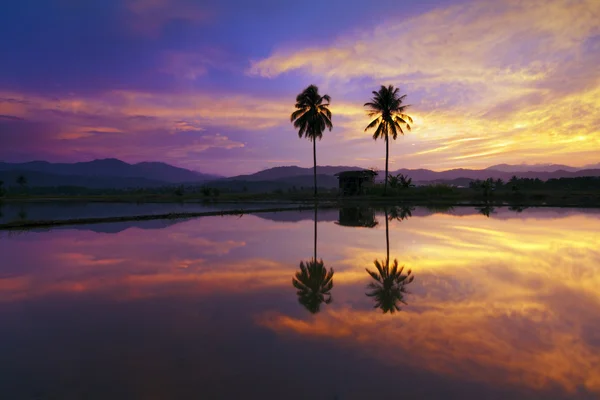 Reflexão de cores dramáticas do pôr do sol em uma área rural em Sabah, Bornéu, Malásia — Fotografia de Stock