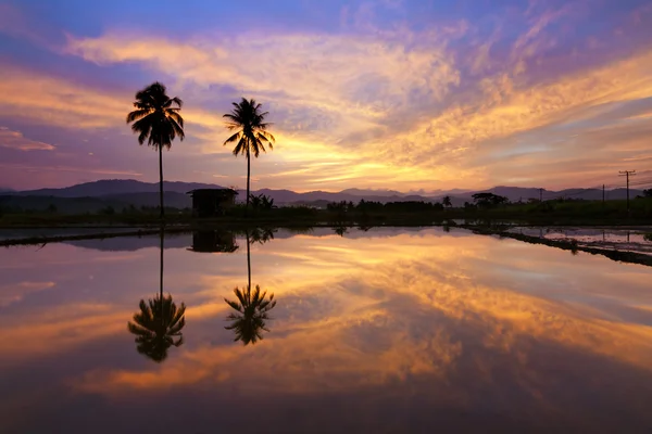 Reflection of dramatic sunset colors at a rural area in Sabah, Borneo, Malaysia — Stock Photo, Image