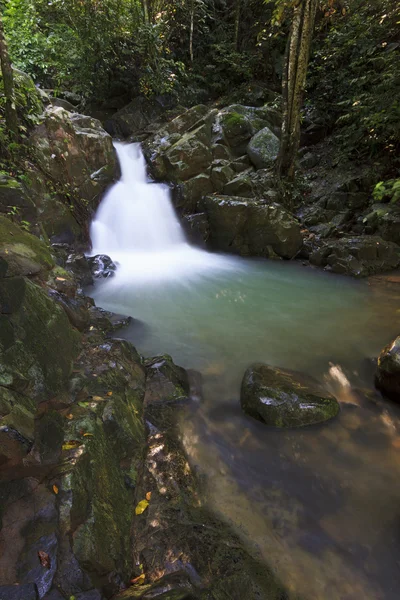 Waterfall in a rainforest at Sabah, Borneo, Malaysia — Stock Photo, Image