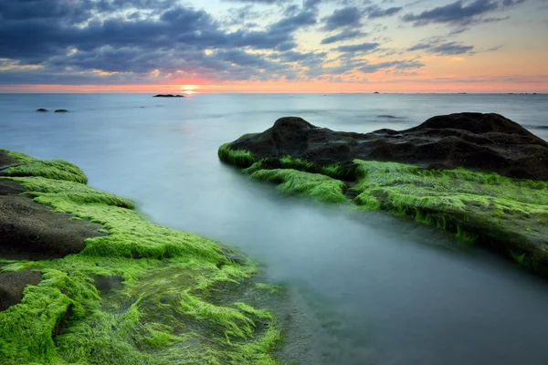 Pedras com musgo verde ao pôr do sol em Sabah, Bornéu, Malásia — Fotografia de Stock