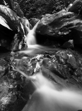 Güzel Sanatlar akan bir dere yazılmış
