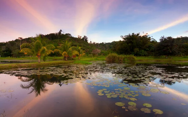 Spiegelung der Hügel und farbenfroher Sonnenuntergang in Sabah, Borneo, Malaysia — Stockfoto