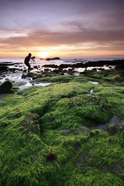 Moosige Felsen bei Sonnenuntergang in Sabah, Malaysia, Borneo — Stockfoto