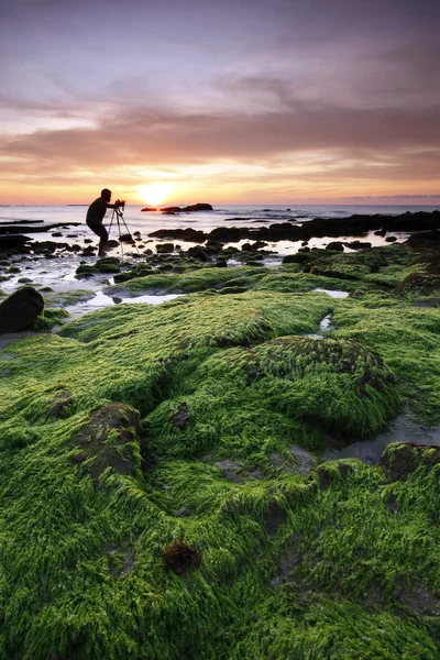 Mossy rocks at sunset in Sabah, Malaysia, Borneo — Stock Photo, Image