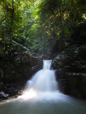 Borneo yağmur ormanları, tropik şelale