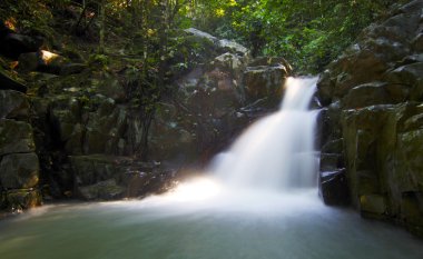Borneo yağmur ormanları, tropik şelale