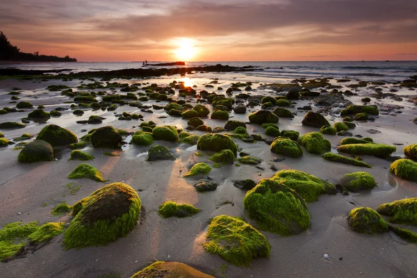 Pedras musgosas em uma praia em Kudat, Sabah, Malásia Oriental, Bornéu — Fotografia de Stock