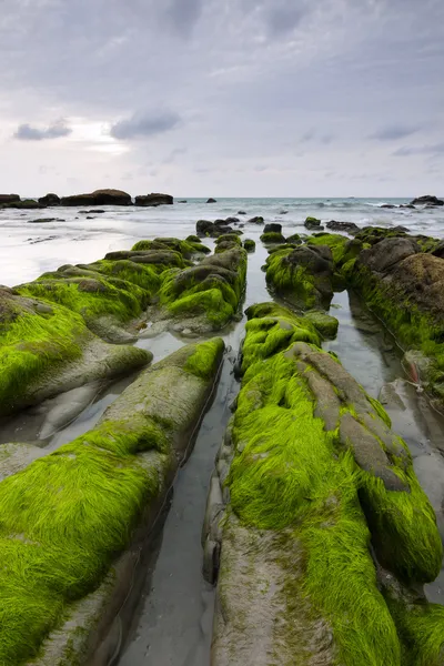 Pedras musgosas em uma praia em Kudat, Sabah, Malásia Oriental, Bornéu — Fotografia de Stock