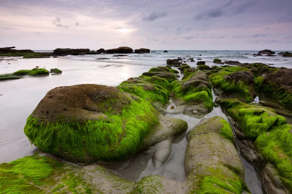 Rotsen met groene mos op een sombere avond in de kudat, sabah, Maleisië, borneo — Stockfoto