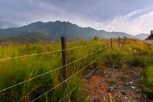 Campo de hierba con el Monte Kinabalu al fondo en Kundasang, Sabah, East malaysia, Borneo — Foto de Stock