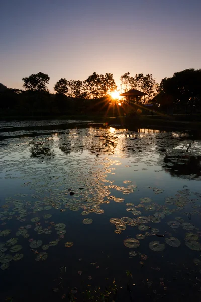 Zonsondergang op een vijver in Sabah, Maleisië, borneo — Stockfoto