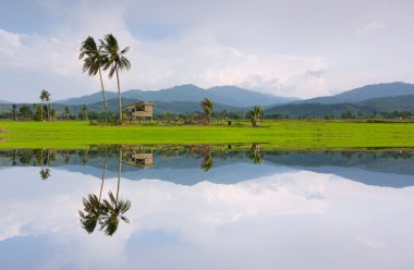 yansıma bir kota marudu, sabah, Doğu Malezya, borneo kırsal manzara