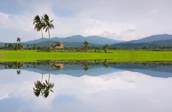 Yansıma bir kota marudu, sabah, Doğu Malezya, borneo kırsal manzara — Stok fotoğraf