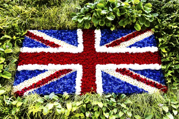 Britská vlajka květiny — Stock fotografie