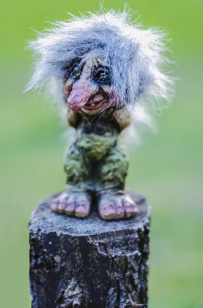 The Troll — Stock Photo, Image