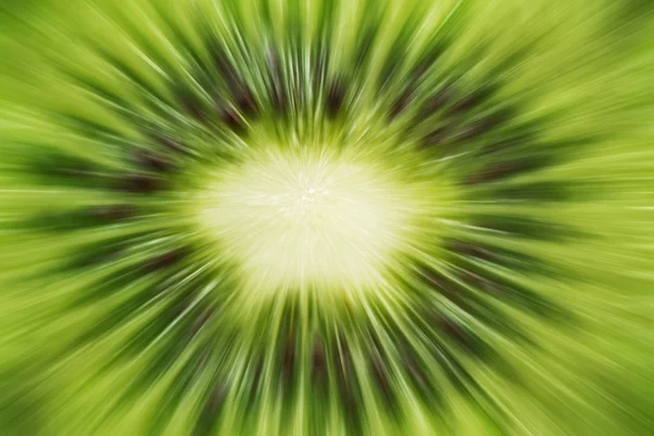 Kiwi abstrait — Photo