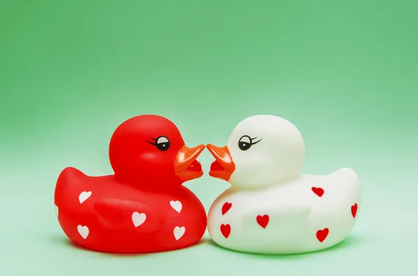 Beijando patos — Fotografia de Stock