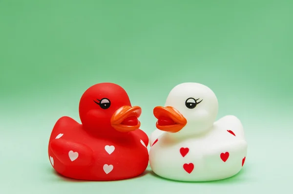 Patos amantes — Fotografia de Stock