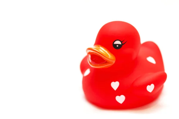 Kırmızı lastik ördek — Stok fotoğraf