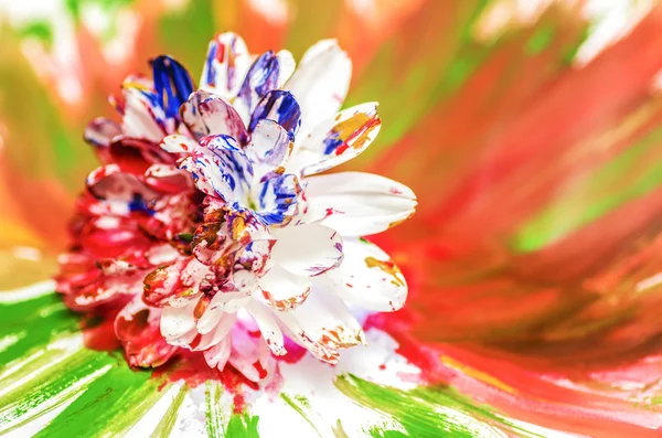 Flor pintada — Foto de Stock