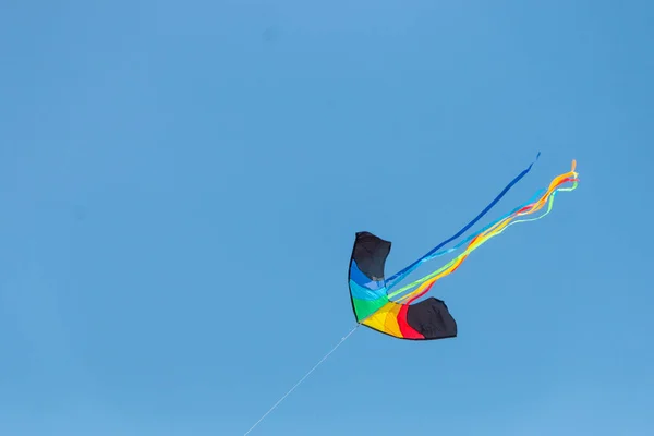 Uma Vista Perto Papagaio Cor Brilhante Voando Céu — Fotografia de Stock