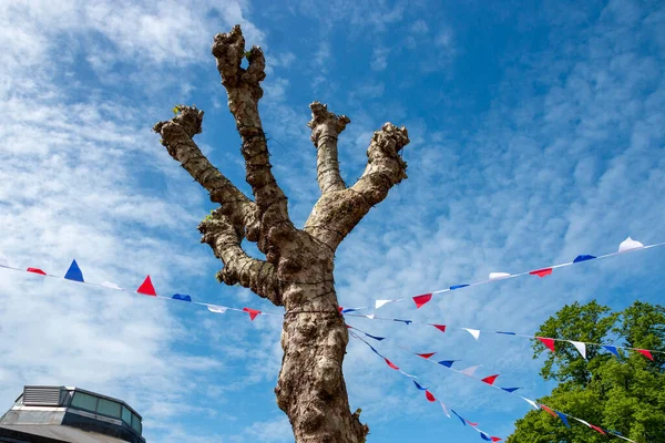 Una Vista Cerca Azul Rojo Blanco Bunting Establecido Para Las — Foto de Stock