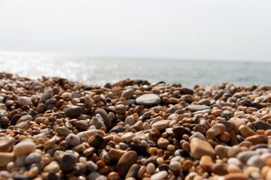A close up view of the different pebbles on the beach at blackpool sands. 