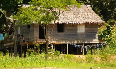 stilts artış islandia Peru kirli su üstünde ev sahipliği yapmaktadır.