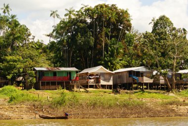 stilts artış islandia Peru kirli su üstünde ev sahipliği yapmaktadır.
