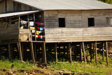 stilts artış islandia Peru kirli su üstünde ev sahipliği yapmaktadır.