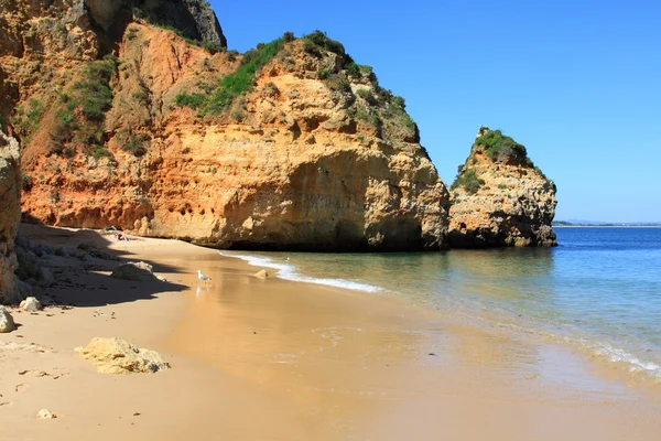 Stranden Dona ana i lagos, algarve, portugal — Stockfoto