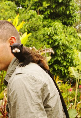 Omzunda maymun olan bir adam.