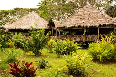 Peru, Perulu amazonas manzara. amazon fotoğraf mevcut tipik Hint kabileleri yerleşim