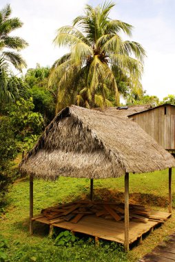 Peru, Perulu amazonas manzara. Fotoğraf mevcut tipik Hint kabileleri yerleşim Amazon