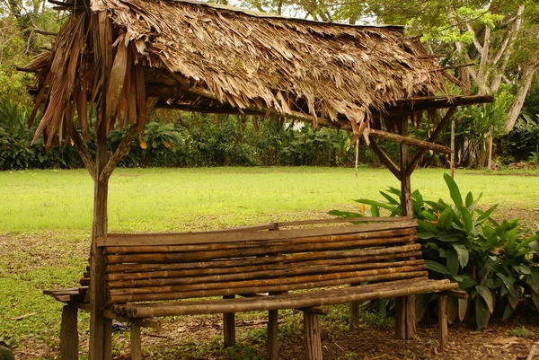 Peru, perui amazonas táj. a fénykép jelen jellegzetes indián törzsek település az Amazon-on — Stock Fotó