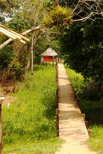 Perú, Amazonas peruana paisaje. La foto presenta el típico asentamiento de tribus indias en el Amazonas — Foto de Stock