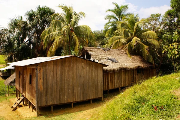 Perù, Amazzonia peruviana. La foto presenta il tipico insediamento delle tribù indiane in Amazzonia — Foto Stock