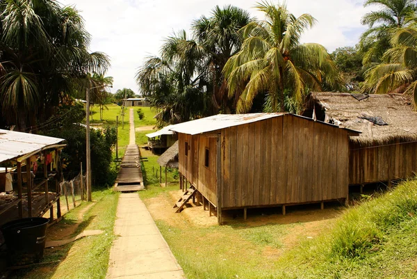 Perú, Amazonas peruana paisaje. La foto presenta el típico asentamiento de tribus indias en el Amazonas —  Fotos de Stock