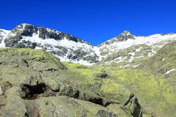 Sneeuw gredos-bergen in avila Spanje — Stockfoto