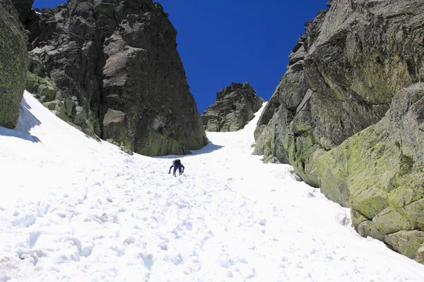 Young woman hikes on the glacier — Stock Photo, Image