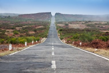 Madeira adasında hiç bitmeyen yol