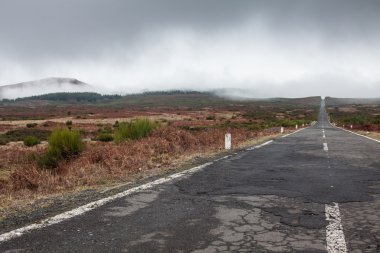 Madeira adasında hiç bitmeyen yol