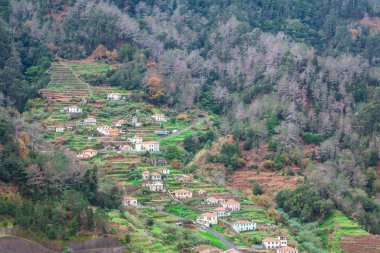Madeira Adası uçurumun üstünde teraslı ekili alanların