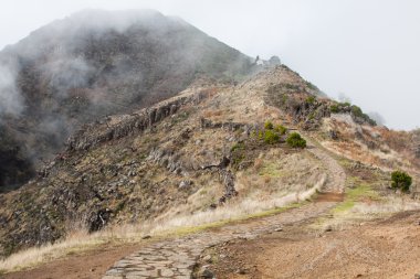 Pico bunu madeira Adası, Portekiz arieiro