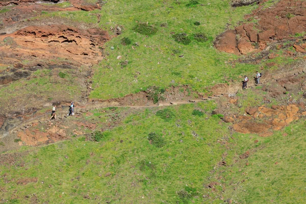 ¿Costa este de la isla de Madeira? Ponta de Sao Lourenco — Foto de Stock