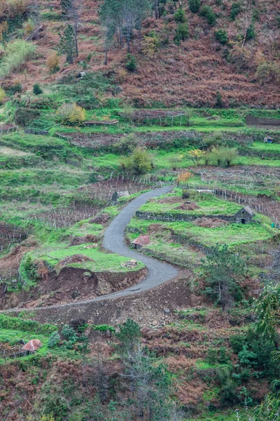 Terrenos cultivados en la cima del acantilado en la isla de Madeira — Foto de Stock